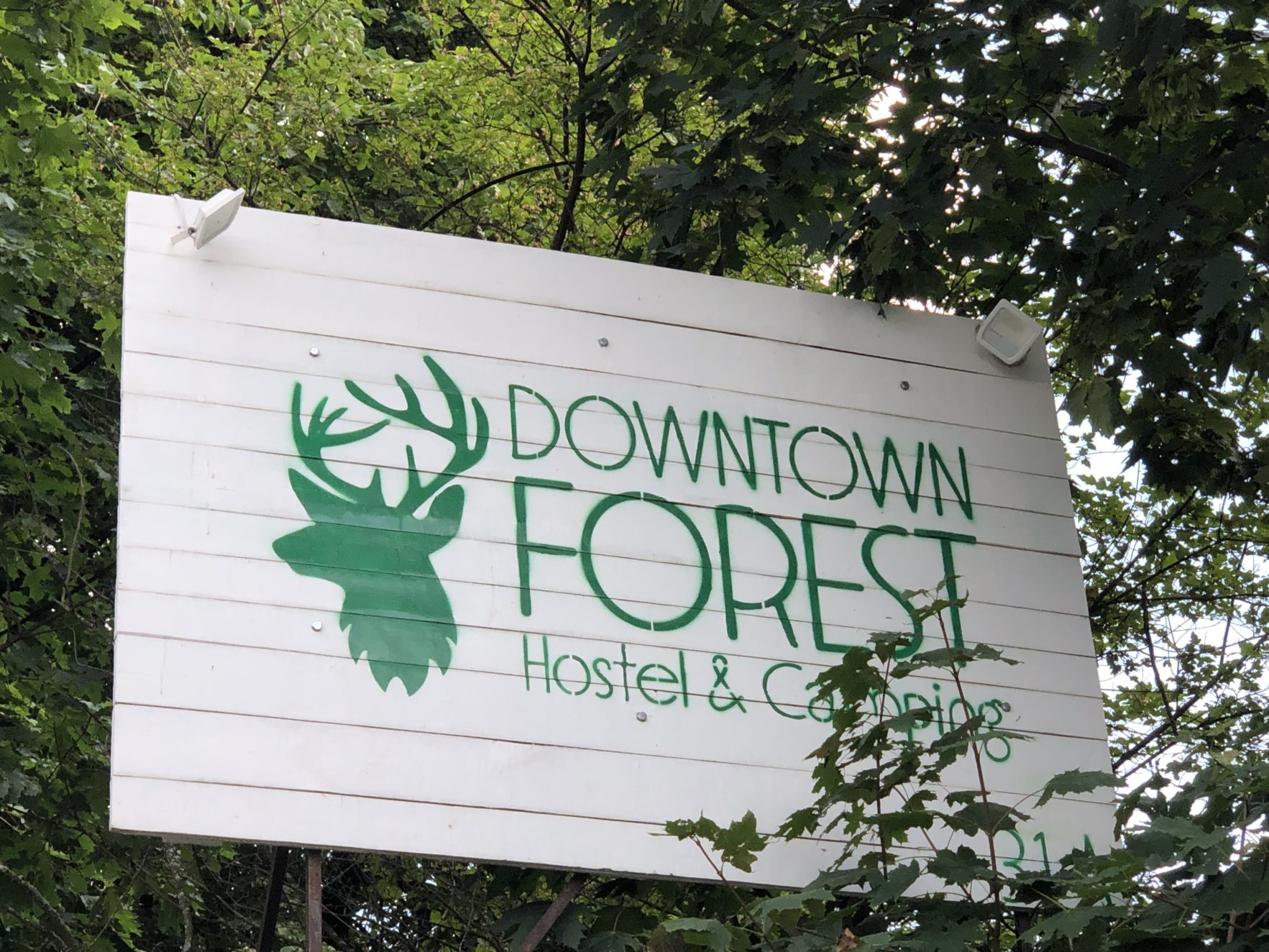 Downtown Forest Hostel