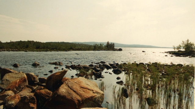 20210525154753_019 Kopie